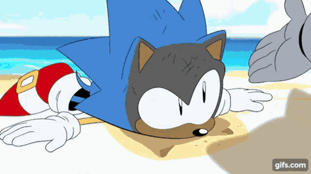 a cartoon of a sonic the hedgehog laying on the beach