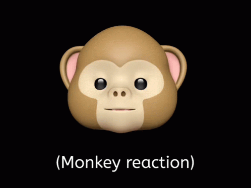 Monkey Reaction Monkey GIF - Monkey Reaction Monkey Meme GIFs
