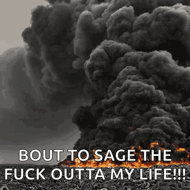 a picture of a fire with the words bout to sage the fuck outta my life below it