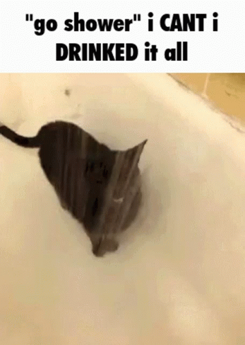 Go Shower I Cant GIF - Go Shower I Cant GIFs