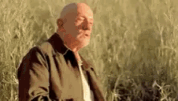 an older man is standing in a field of tall grass .