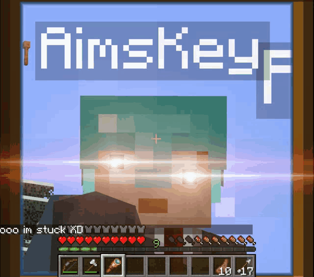 a picture of a minecraft character with the name aimskeyf on it