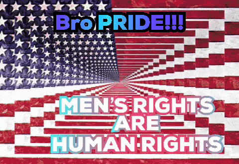 an american flag with the words bro pride men 's rights are human rights on it