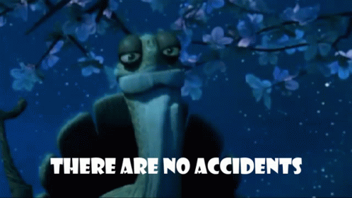 There Are No Accidents GIF - There Are No Accidents GIFs