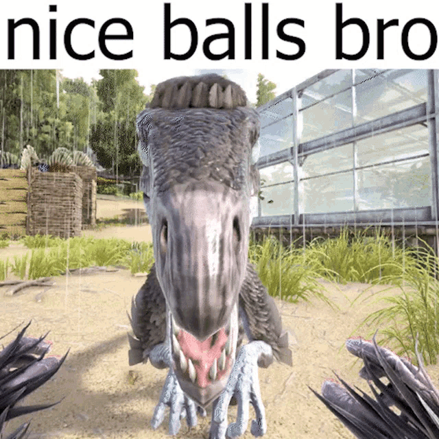 Troodon Nice Balls GIF - Troodon Nice Balls Nice GIFs