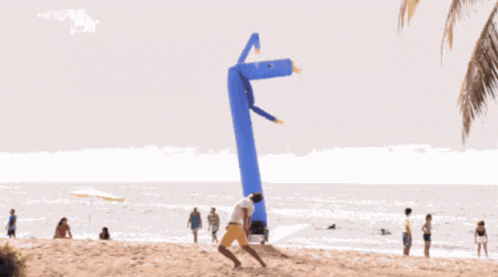 Wind Sock Man Beach GIF - Wind Sock Man Beach Having Fun GIFs