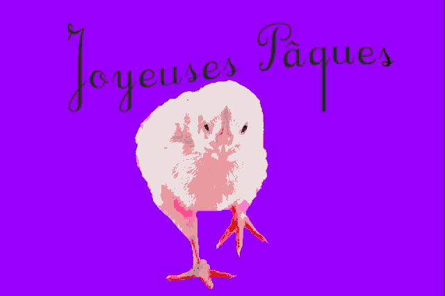 a pink background with joyeuses paques written in black