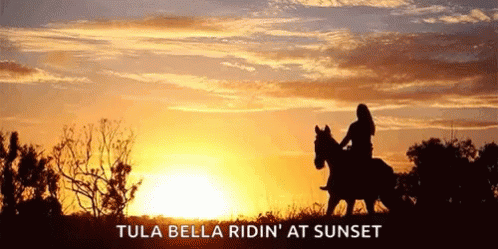 Horseback Riding Sunset GIF - Horseback Riding Sunset GIFs