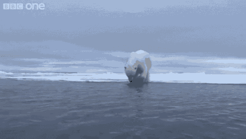 Just Going For A Polar Bear Plunge GIF - Polar Bear Swimming Ice Cold GIFs