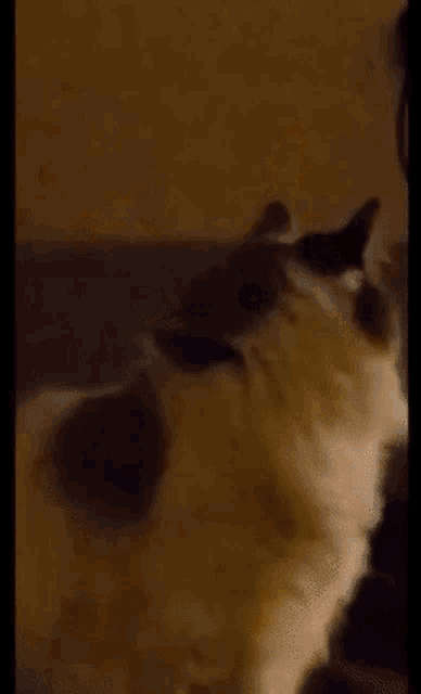 a person is standing in a dark room looking out of a doorway .