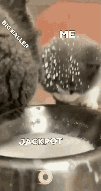Rollbit Jackpot GIF - Rollbit Jackpot Memecontest GIFs
