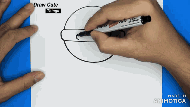 a person is drawing a circle with a marker that says zebra on it