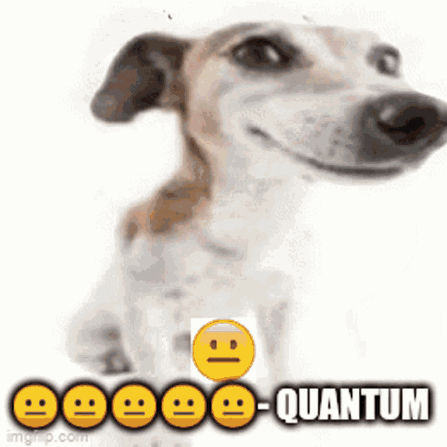 Quantum Not Funny GIF