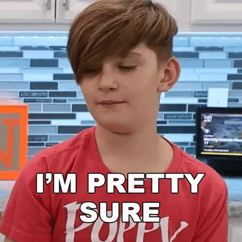 a young boy in a red shirt is making a funny face and saying i 'm pretty sure .