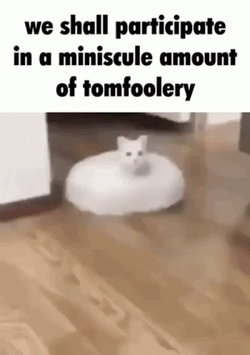 Tomfoolery Cat GIF - Tomfoolery Cat Mop GIFs