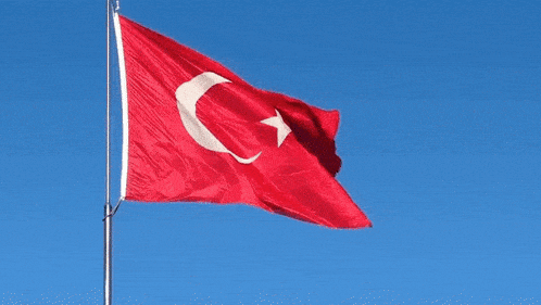 Türkiye Turkish Flag GIF - Türkiye Turkish Flag Turkey GIFs