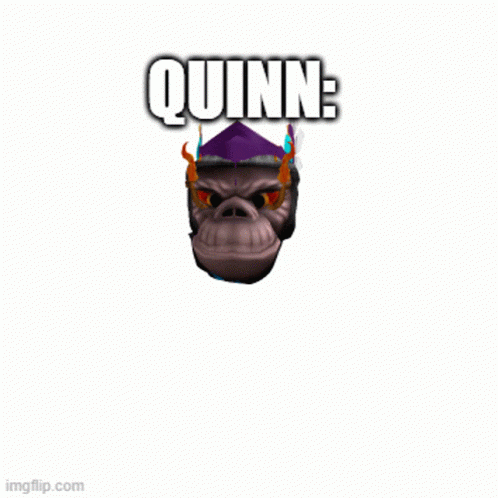 Quinn Quinnn GIF - Quinn Quinnn Quin GIFs