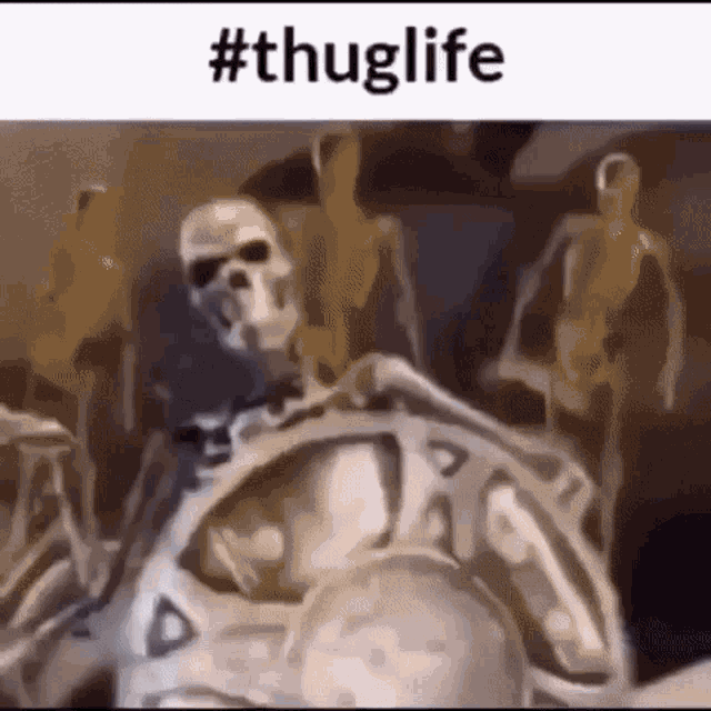 Thug Life GIF - Thug Life Skeleton GIFs