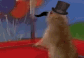 a picture of a cat with a top hat and mustache that says curses