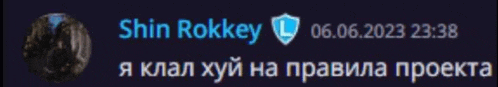a screenshot of a chat with shin rokkey written in russian