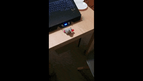 a stuffed animal with a red heart on its nose is sitting on a wooden surface .