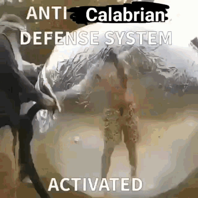 Calabria Calabresi GIF - Calabria Calabresi Difesa GIFs