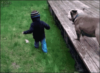 a child is running towards a dog that is standing on a wooden deck