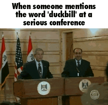 two men giving a speech at a podium with a caption that says when someone mentions the word duckbill