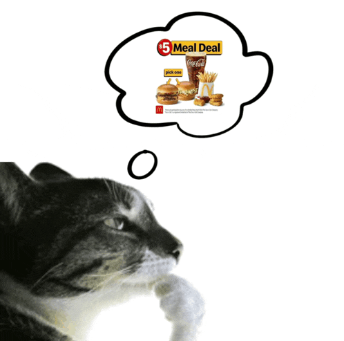 a cat is thinking about a $5 meal deal at mcdonalds