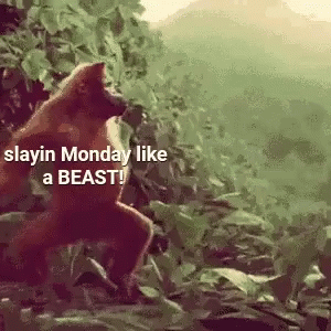 Monday Slaying Monday GIF - Monday Slaying Monday Like A Beast GIFs