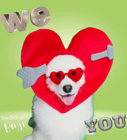 a dog wearing a heart shaped hat with a cupid arrow in it
