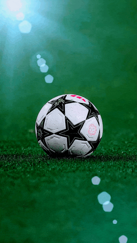 a soccer ball with a star on it is on a field