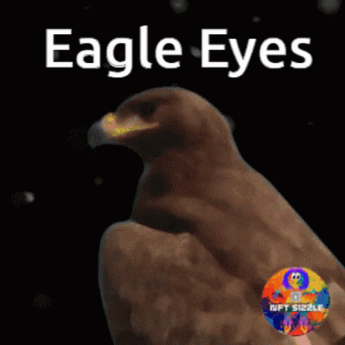 Eagle Eyes Eye GIF - Eagle Eyes Eye Good Eyes GIFs
