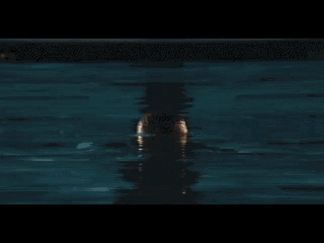 a man with a beard is standing in the water and the word noc is visible