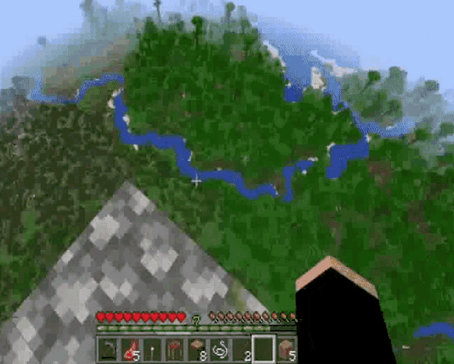 a person is playing a video game called minecraft and looking at a map of a forest .