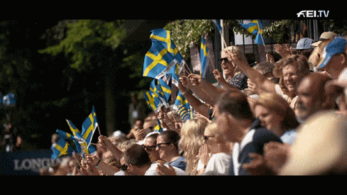 Swedish Flags Flagwaving Slowmo GIF - Swedish Flags Swedish Flag Flagwaving Slowmo GIFs