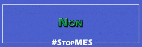 Stop Mes Non Firmiamoun Un Cazzo GIF - Stop Mes Non Firmiamoun Un Cazzo Text GIFs