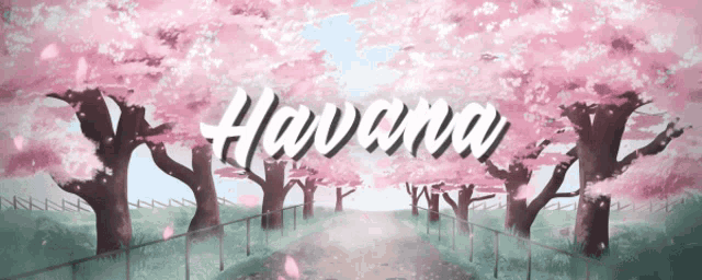 a havana sign with cherry blossoms on the trees