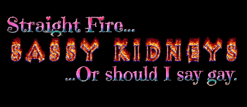 straight fire sassy kidneys or should i say gay written in flames