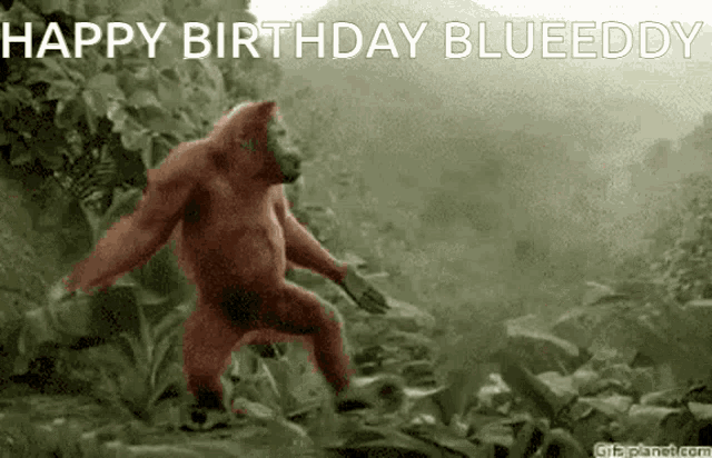 Blueeddy Blueddy GIF - Blueeddy Blueddy Adham Birthday GIFs