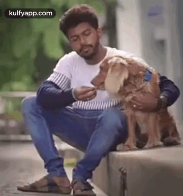 Feeding Dog.Gif GIF - Feeding Dog Anand Mj Actor GIFs