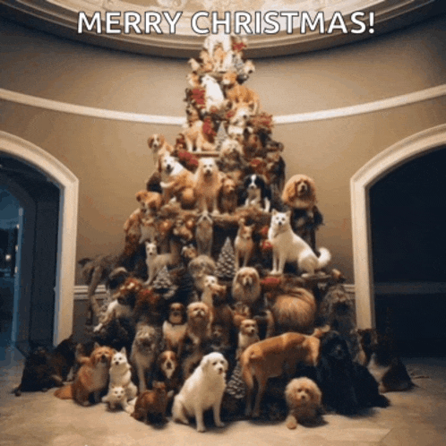 a christmas tree made of dogs and cats with merry christmas written on the bottom