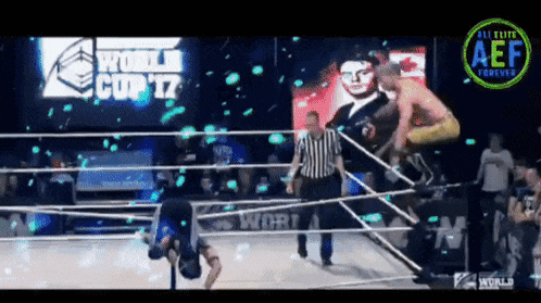a wrestling ring with a sign that says world cup 17 on it