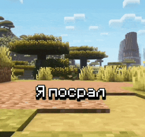 a screenshot of a video game called minecraft shows a landscape with trees and grass