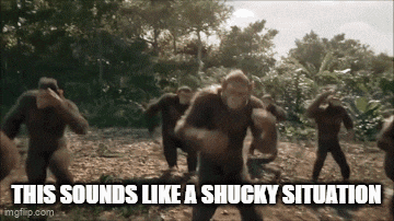 a group of chimpanzees are dancing in a field with the caption this sounds like a shucky situation