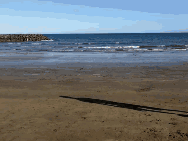 a person 's shadow is cast on the sandy beach near the ocean