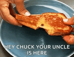a person is holding a piece of grilled cheese with a bite taken out of it on a plate .