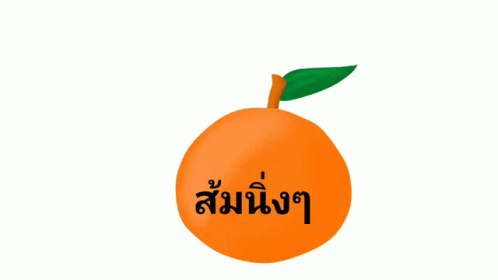 ส้มนิ่ง ก้าวไกล GIF - ส้มนิ่ง ก้าวไกล ต้มแฟง GIFs