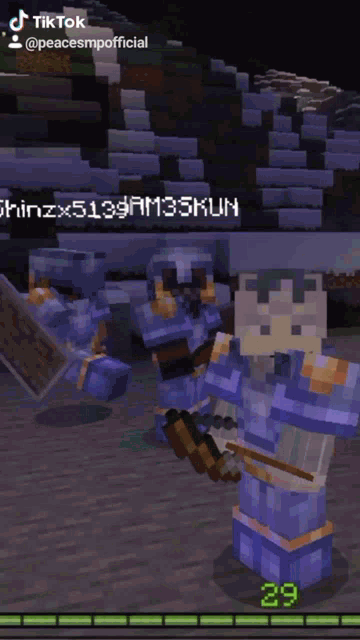 a screenshot of a minecraft video with the number 29 in the lower right corner