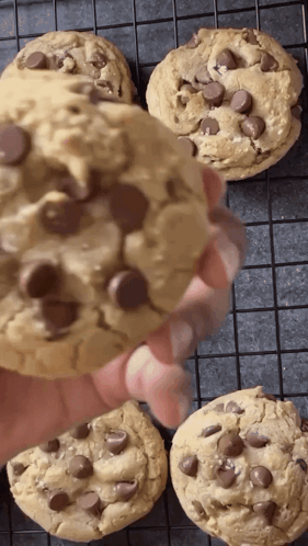Chocolate Chip Cookies Cookies GIF - Chocolate Chip Cookies Cookies Dessert GIFs